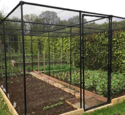 Premium walk in fruit and vegetable cages